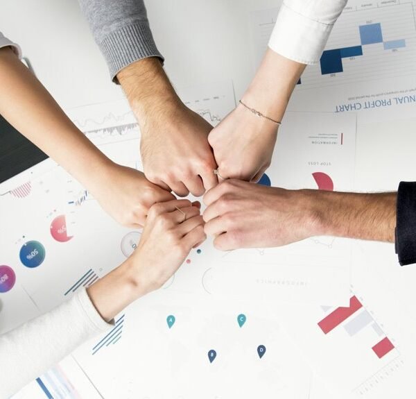 business dynamics report numbers