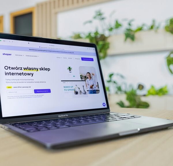 online model growth strategy