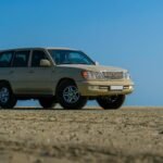 reliable stability model 617525770