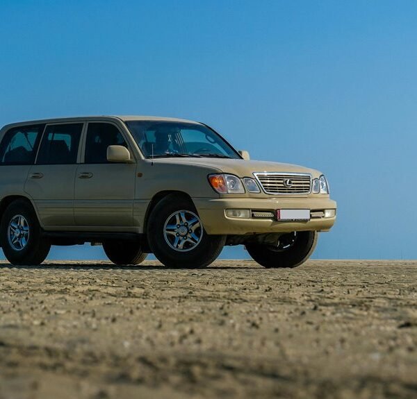 reliable stability model 617525770