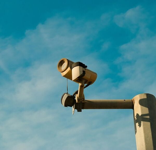 secure web system growth